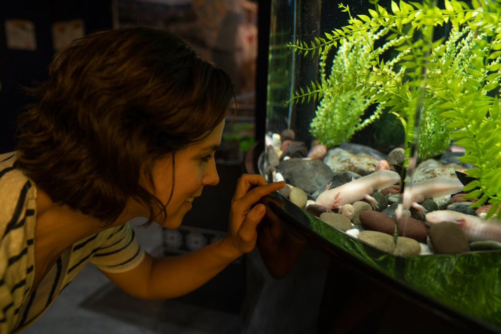 axolotl tank setup